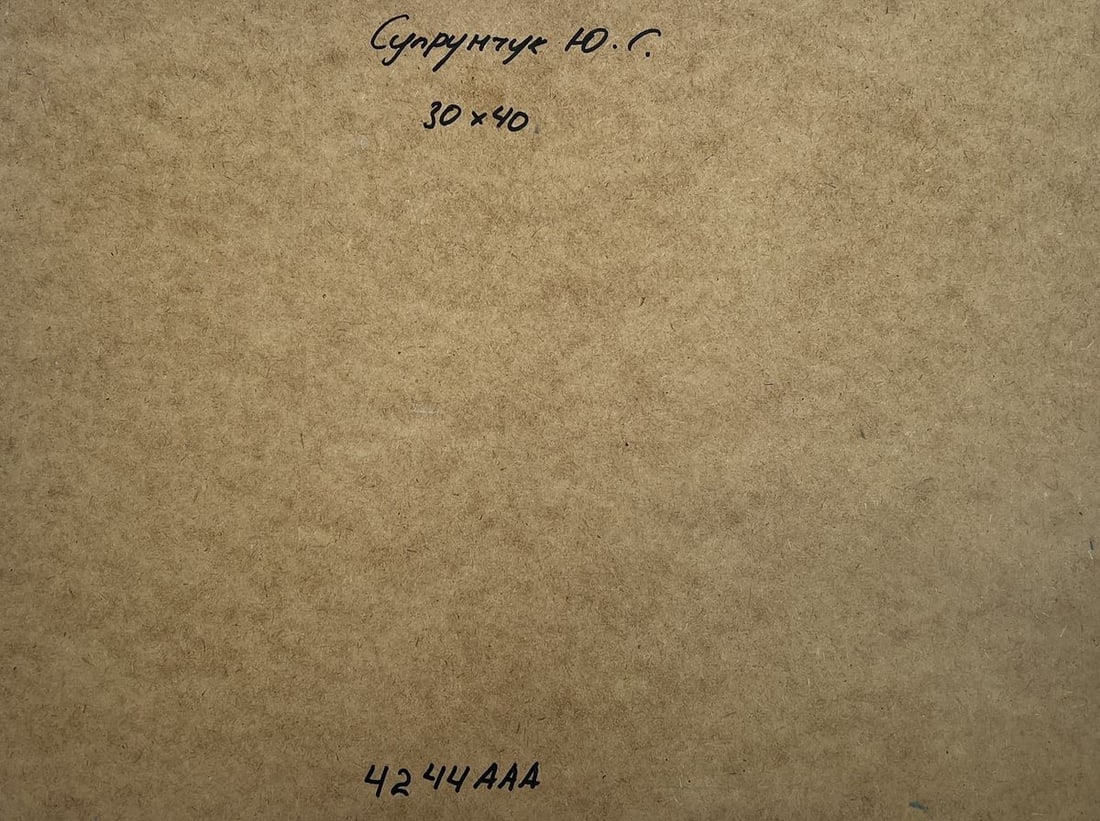 Oil painting Sailing towards a dream Yuriy Suprunchuk - 10