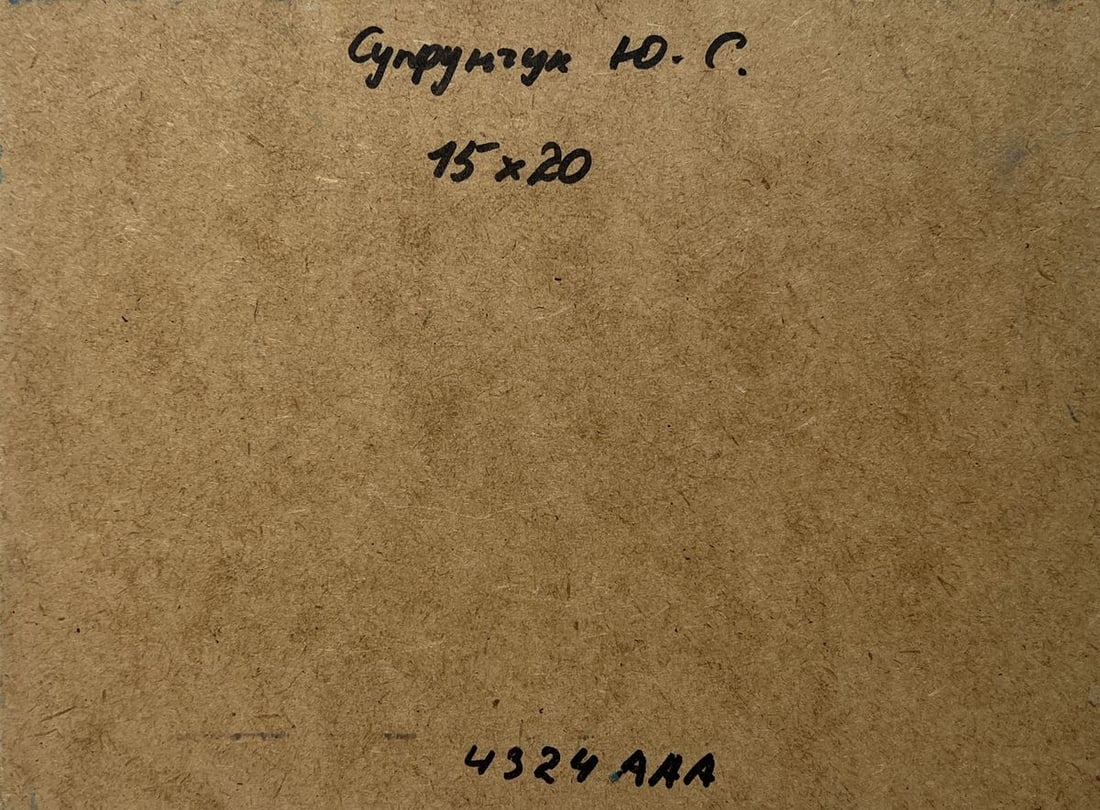 Oil painting Sea voyage and the sound of birds Yuriy Suprunchuk - 8