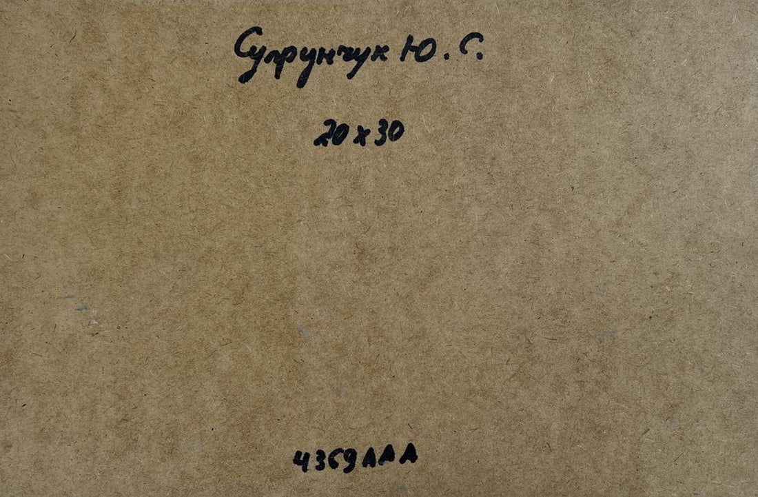 Oil painting City boat ferry Yuriy Suprunchuk - 10