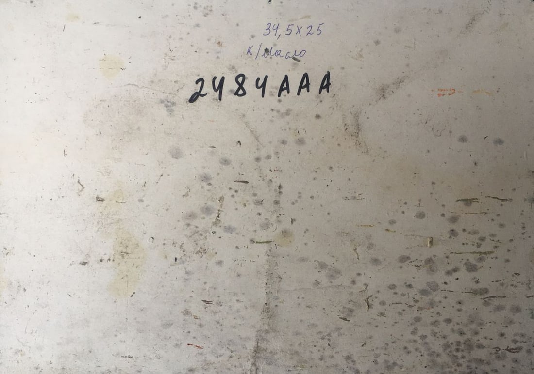 Oil painting By the sea Peter Tovpev - 12