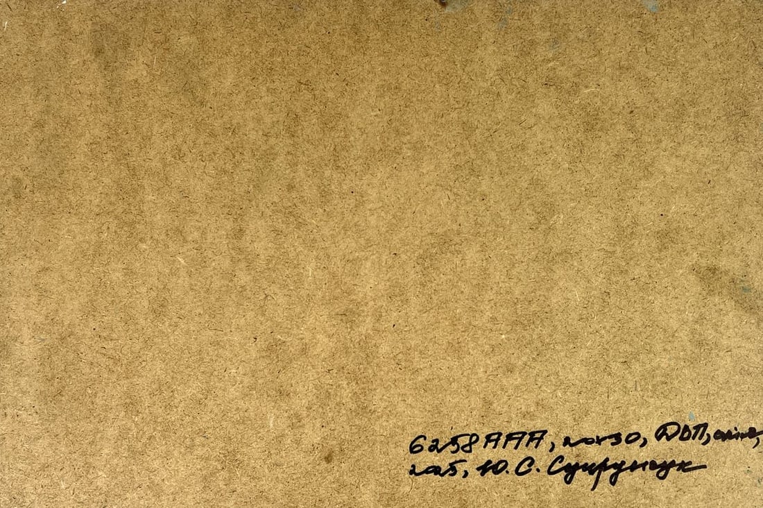 Oil painting Meadows of growing lilacs Yuriy Suprunchuk - 11