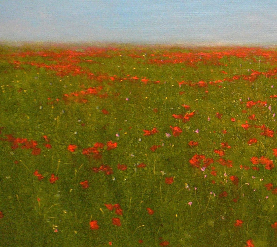 Oil painting Blooming field of poppies Vasily Korkishko - 2