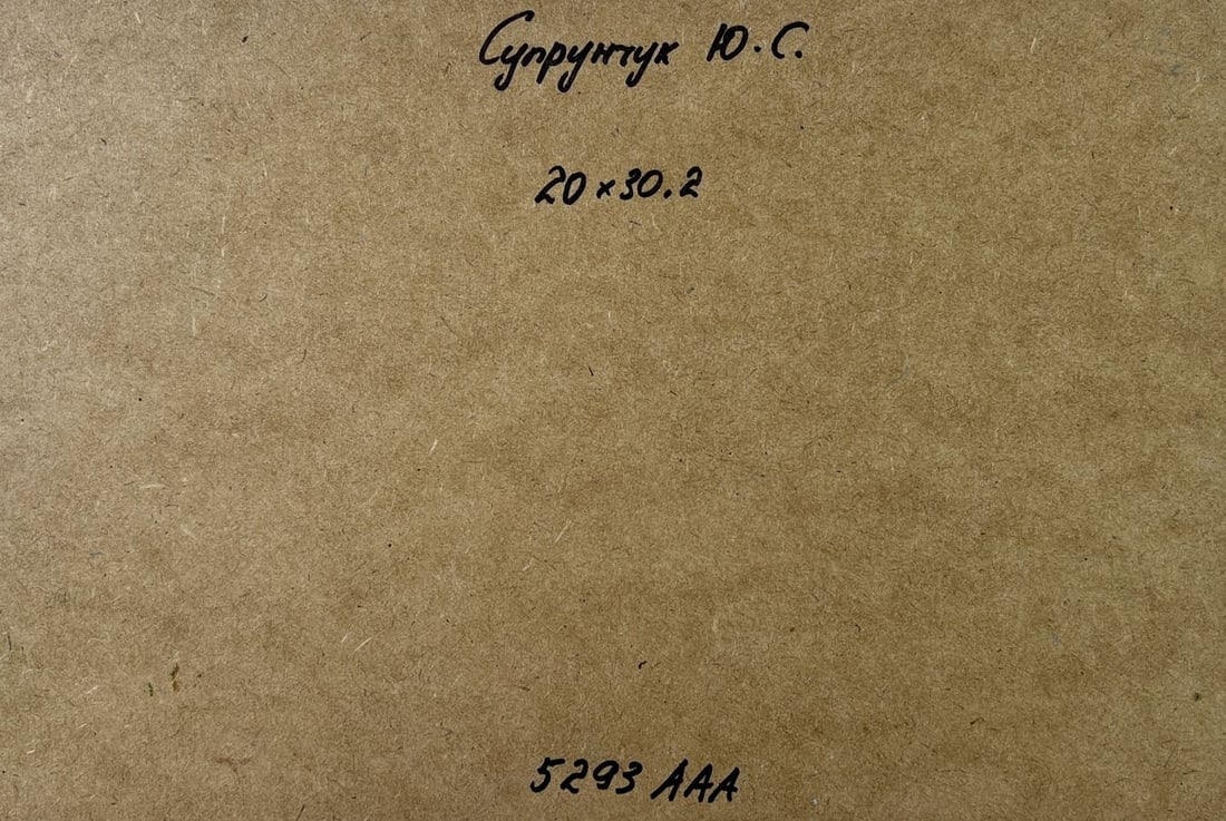 Oil painting A walk in the forest Yuriy Suprunchuk - 10