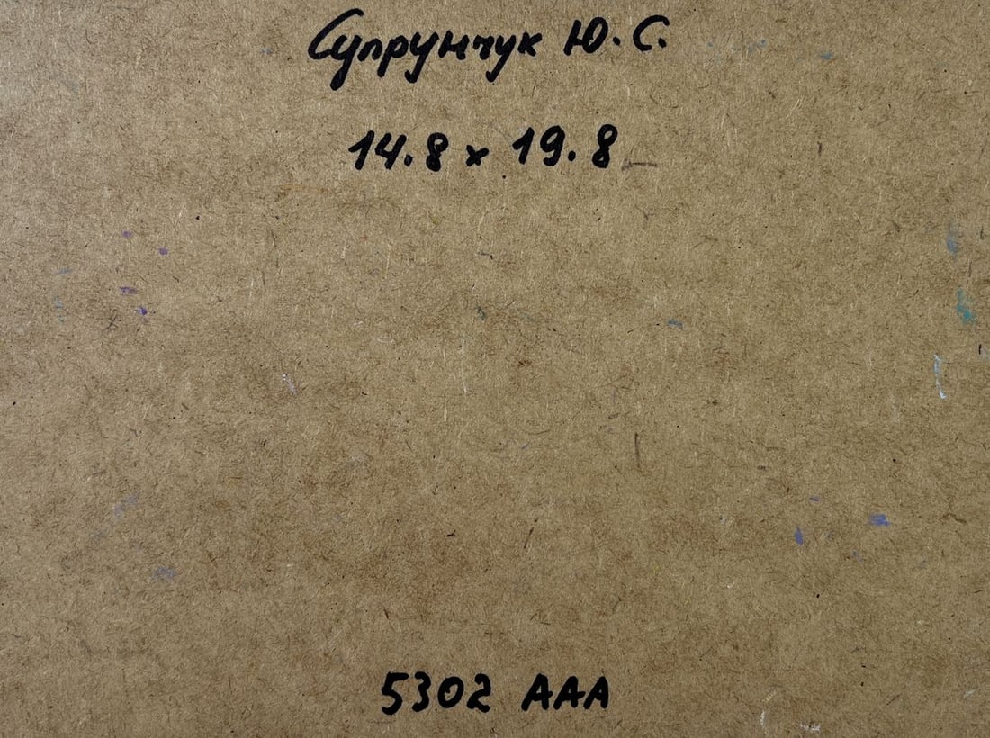 Oil painting Past the outer houses Yuriy Suprunchuk - 8