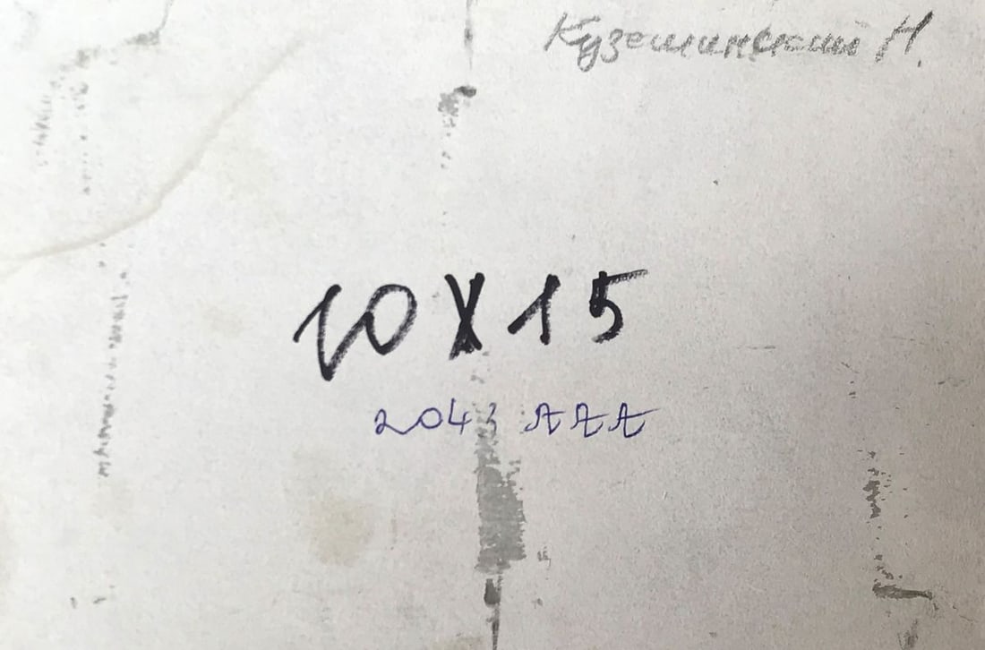 Oil painting Hiking in the mountains Kuzeminsky Nikolay Borisovich - 11