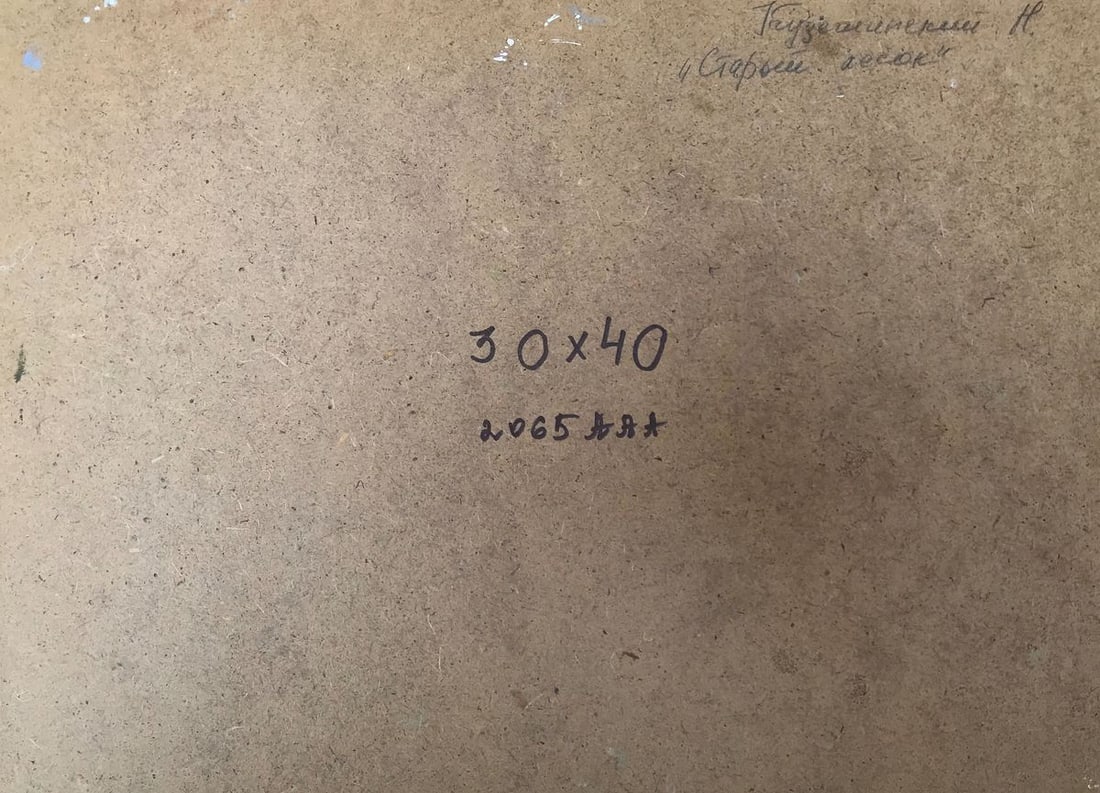 Oil painting Old forest Kuzeminsky Nikolay Borisovich - 11