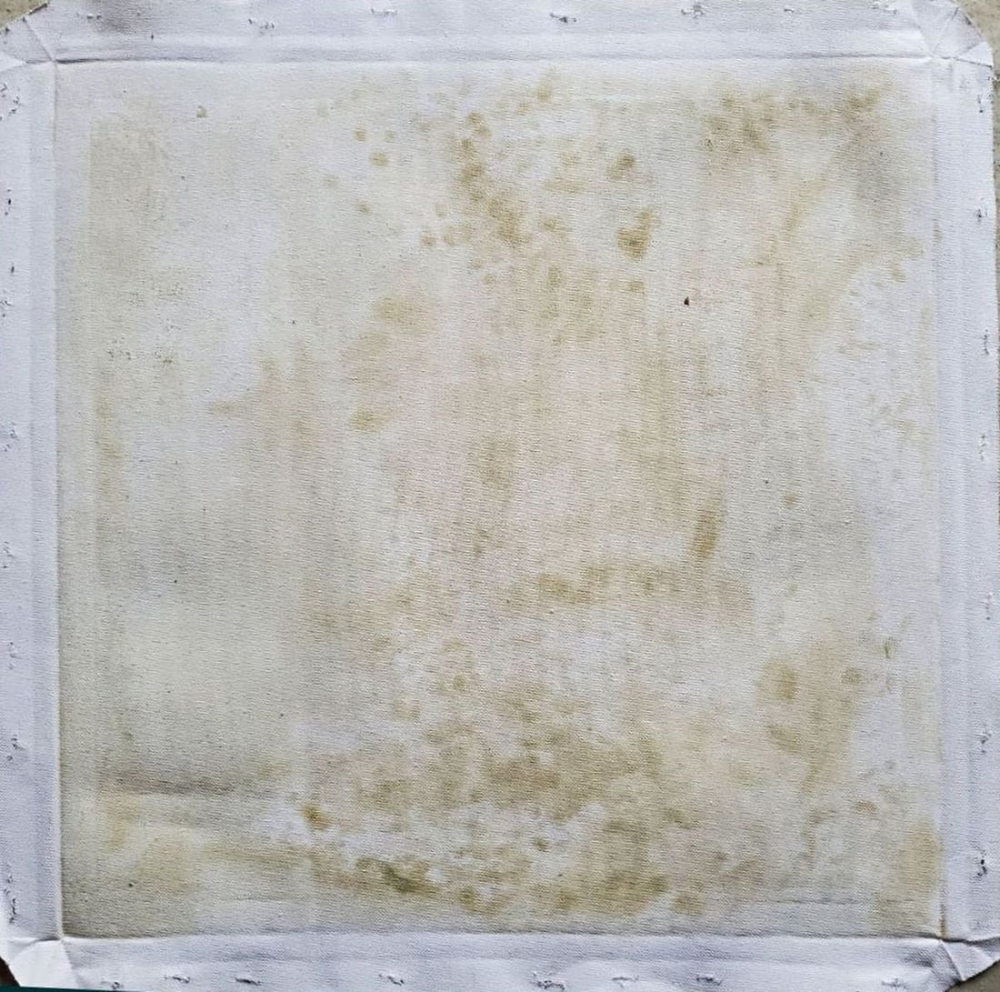 Oil painting weather view Litvinov Daniil Olegovich - 7