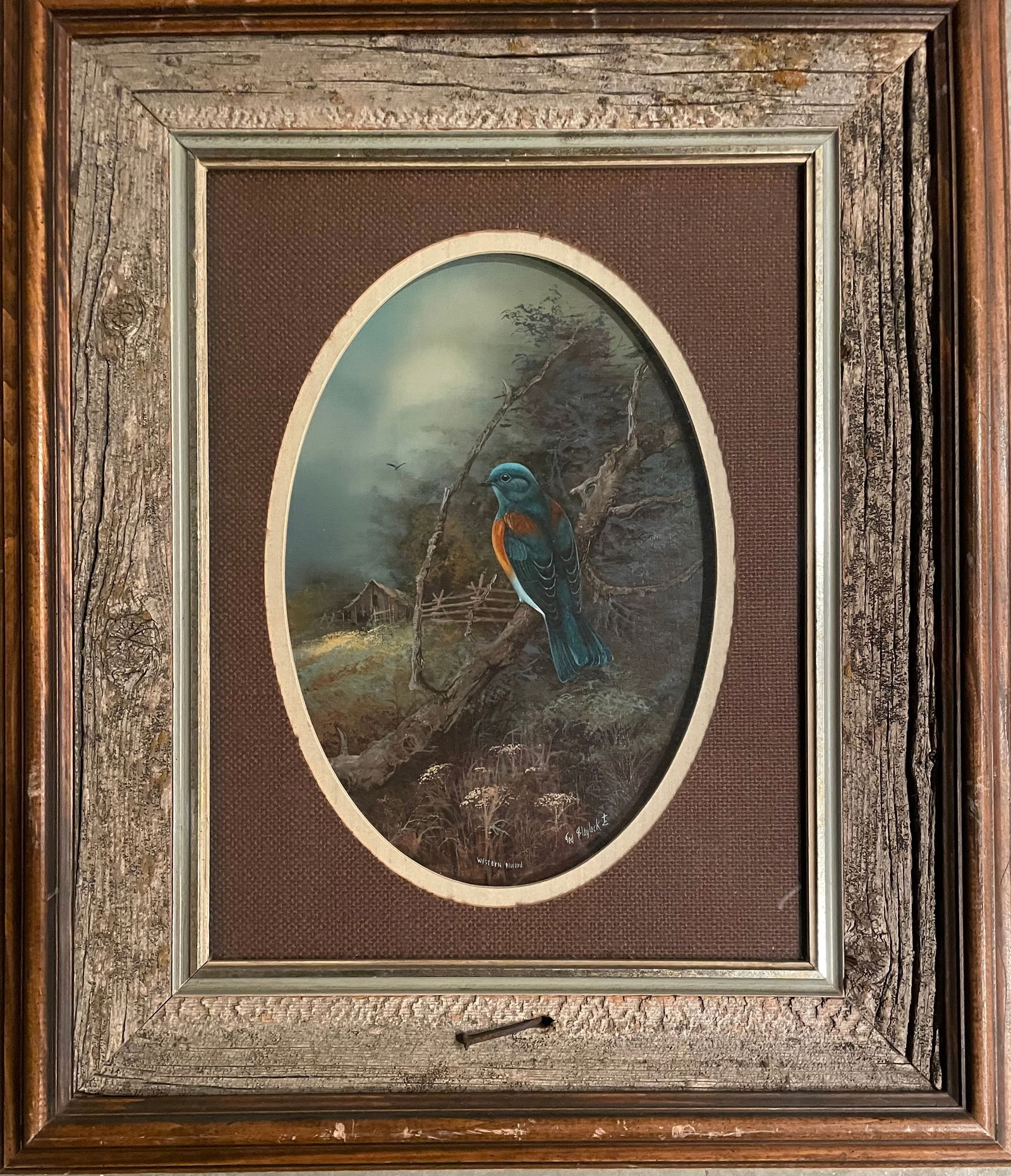 Western Bluebird: Title:Western BluebirdDescription:Oil painting of a Western Bluebird on wood set in an oval format under glass. Housed in a vertical rectangle frame resembling old barn wood with rusted nail accent.