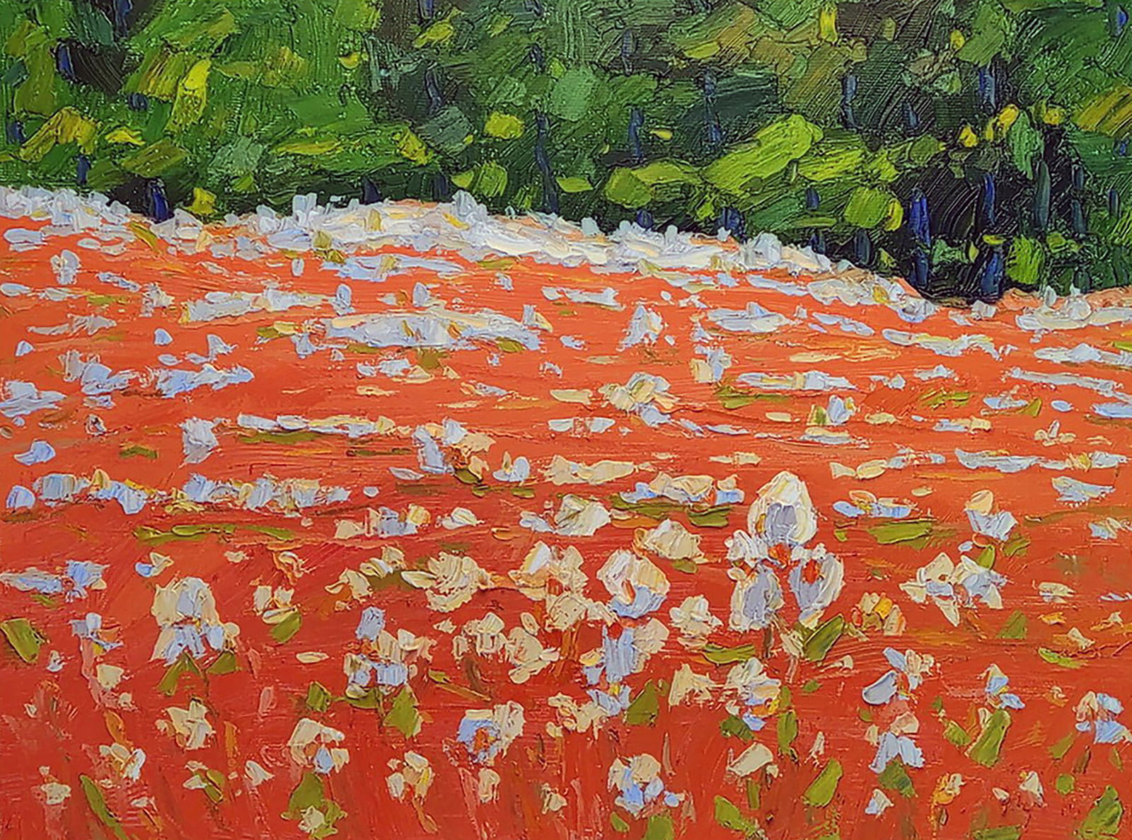 Oil painting Dream-grass Yaroslav Savchyn: Title: Oil painting Dream-grass Yaroslav Savchyn Description: 48SAVCH Painter: Yaroslav Savchyn Size: 30x40 cm/11.81x15.74 inches Components: oil, canvas Original painting CONDITION: excellent ARTIST: