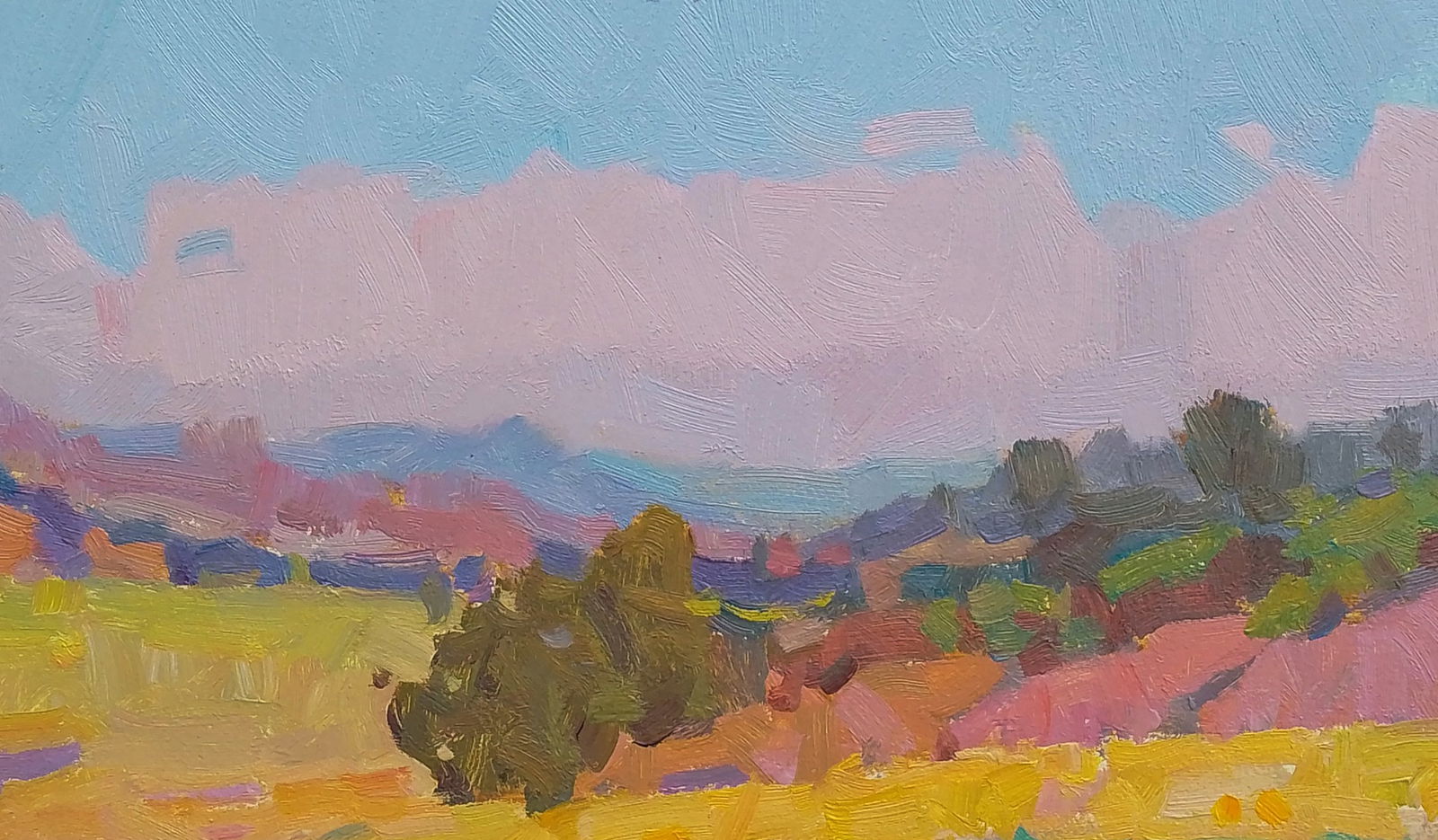 Oil painting Beautiful view of fields and forests Igor Tuzhikov - 6