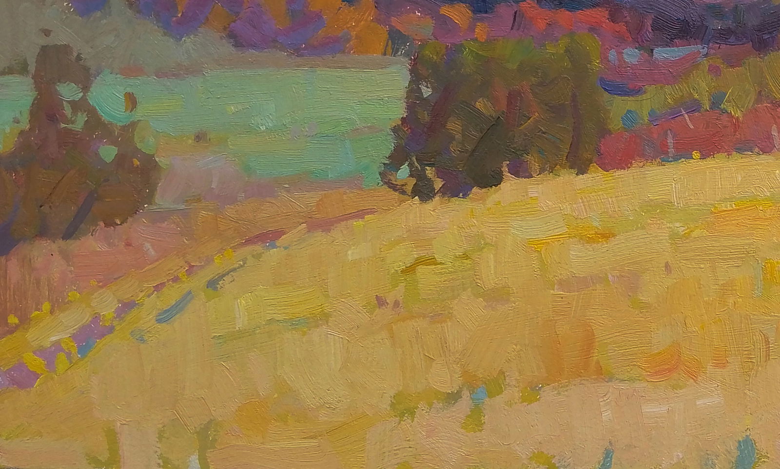 Oil painting Sun in the field Igor Tuzhikov - 3