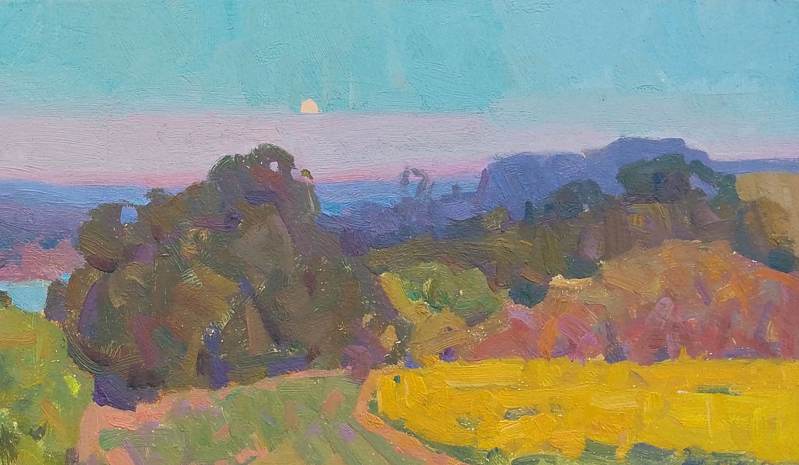 Oil painting The last rays of the sun Igor Tuzhikov - 5