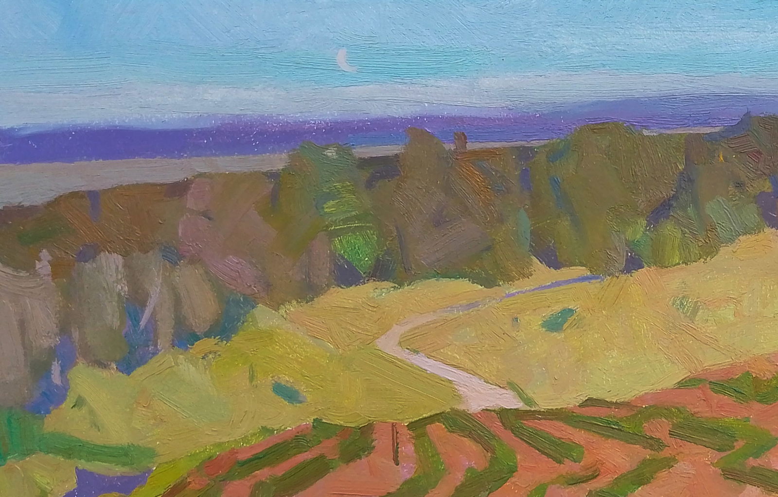 Oil painting A bright vegetable garden Igor Tuzhikov - 4