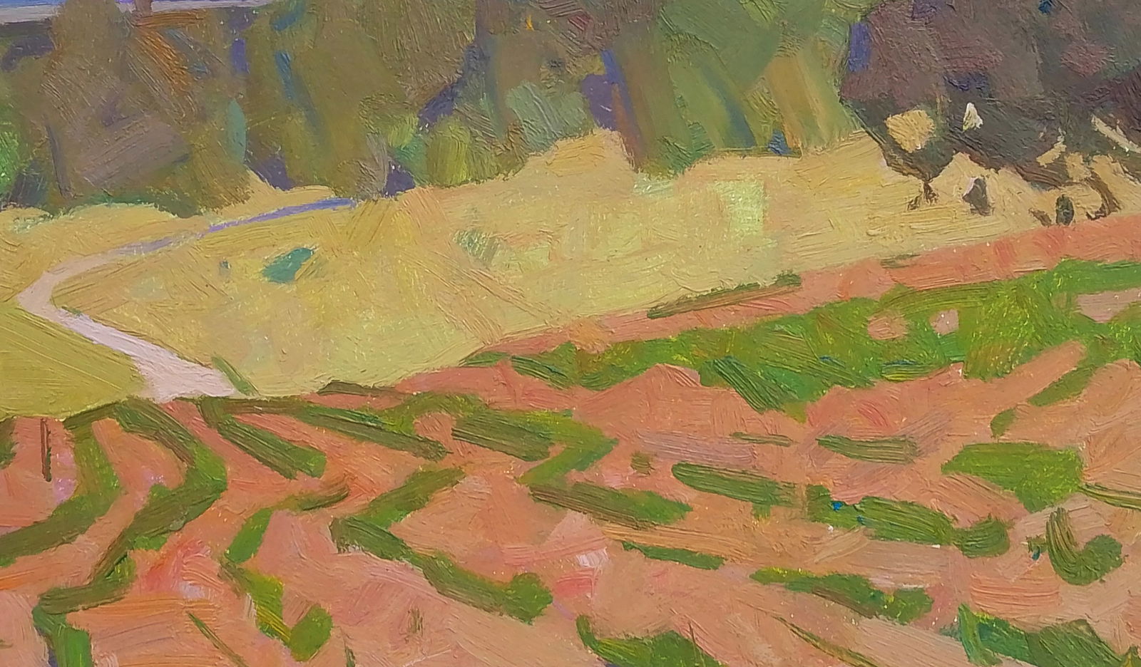 Oil painting A bright vegetable garden Igor Tuzhikov - 6