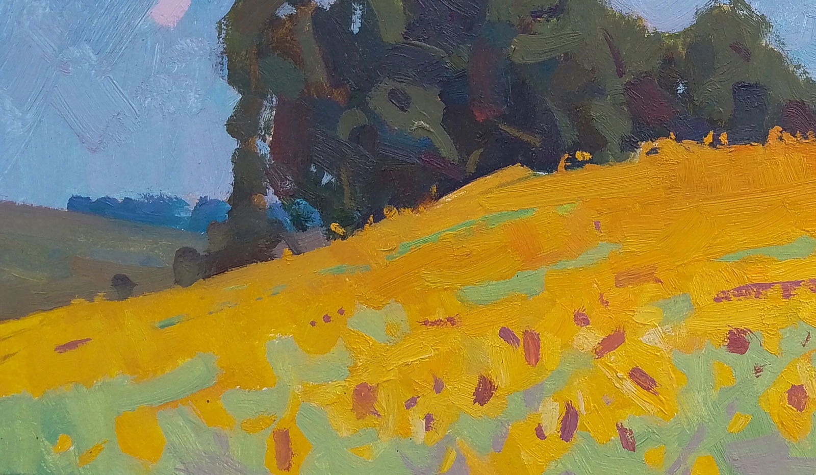 Oil painting Sunflower field Igor Tuzhikov - 3