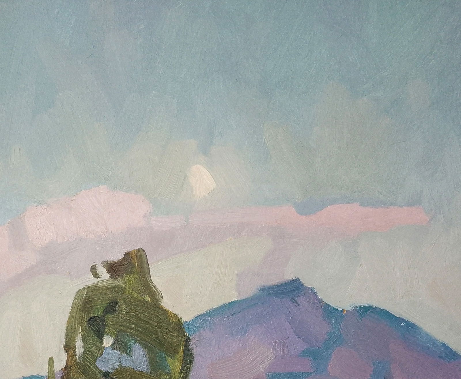 Oil painting Fresh air in the mountains Igor Tuzhikov - 5