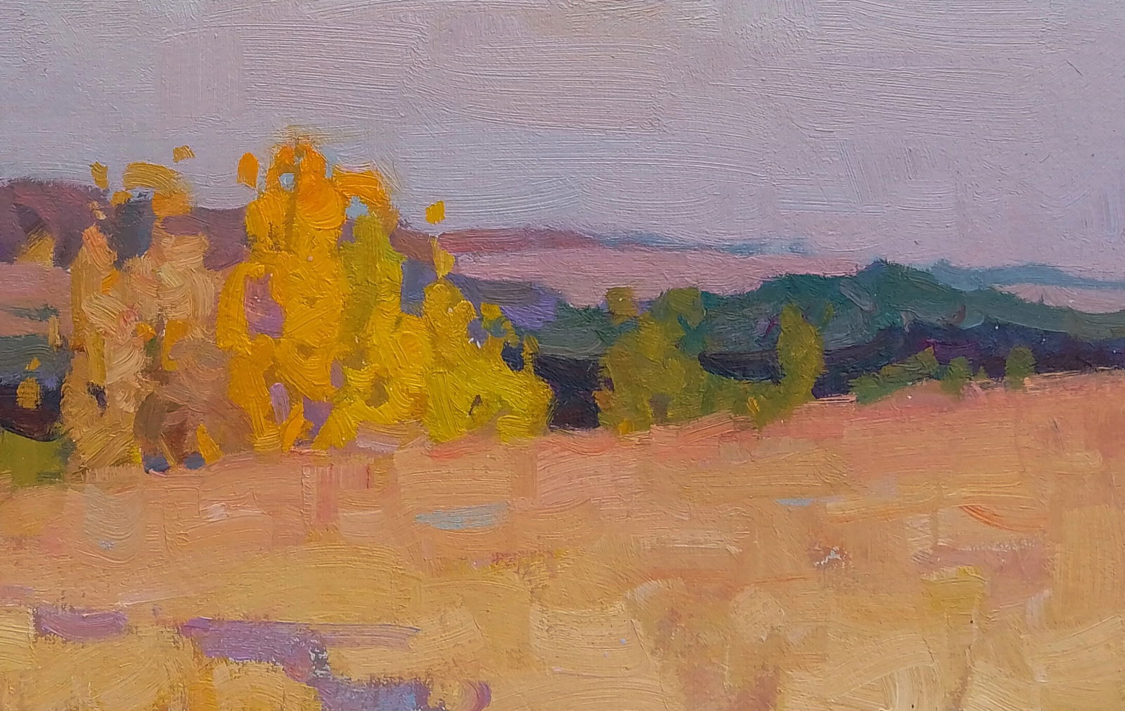 Oil painting Autumn outside the city Igor Tuzhikov - 2