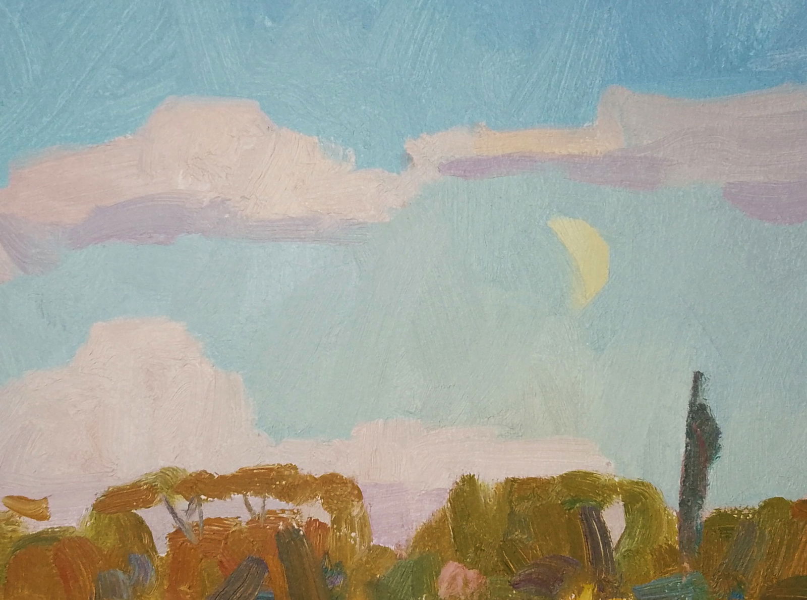 Oil painting The summer smell of nature Igor Tuzhikov - 6