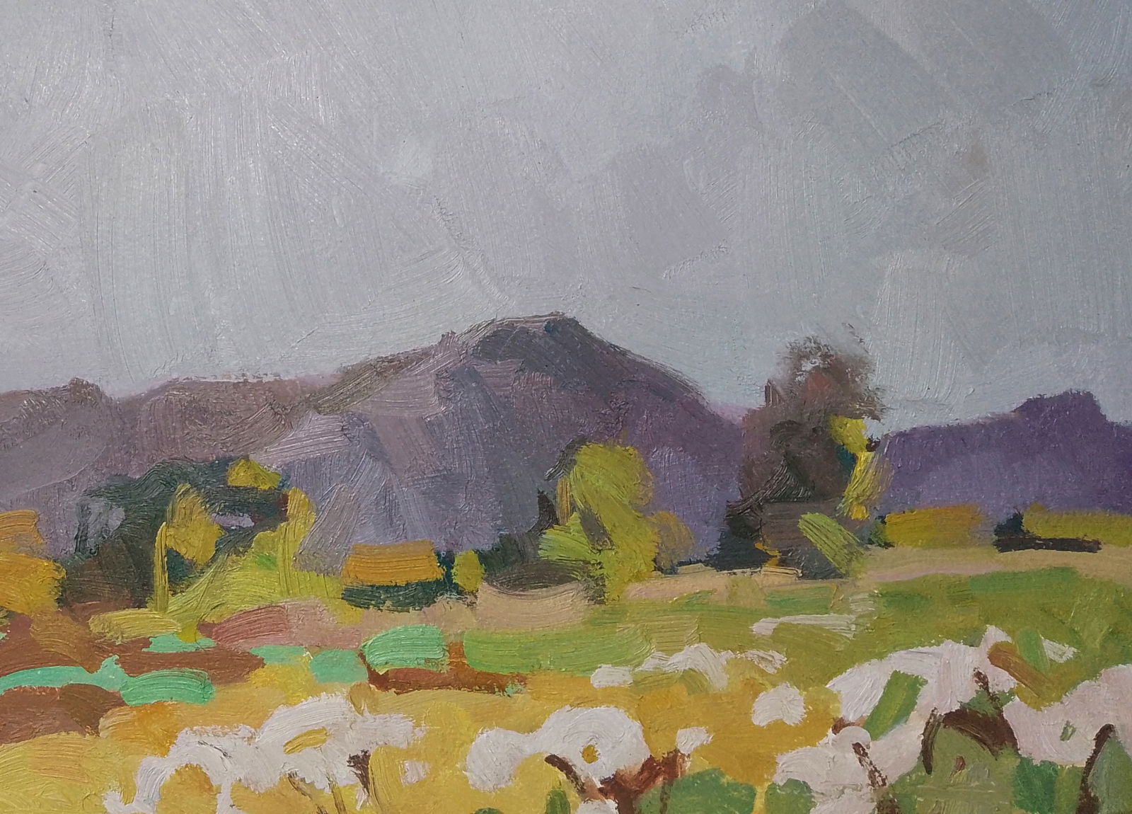 Oil painting Mountain freshness Igor Tuzhikov - 2