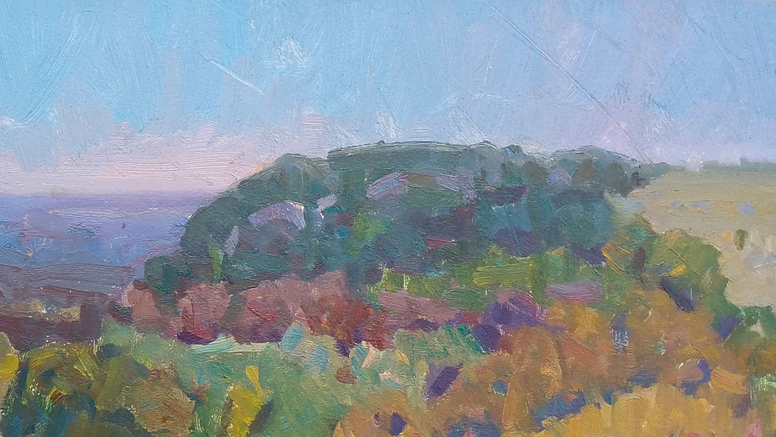 Oil painting Bright evening sun Igor Tuzhikov - 5