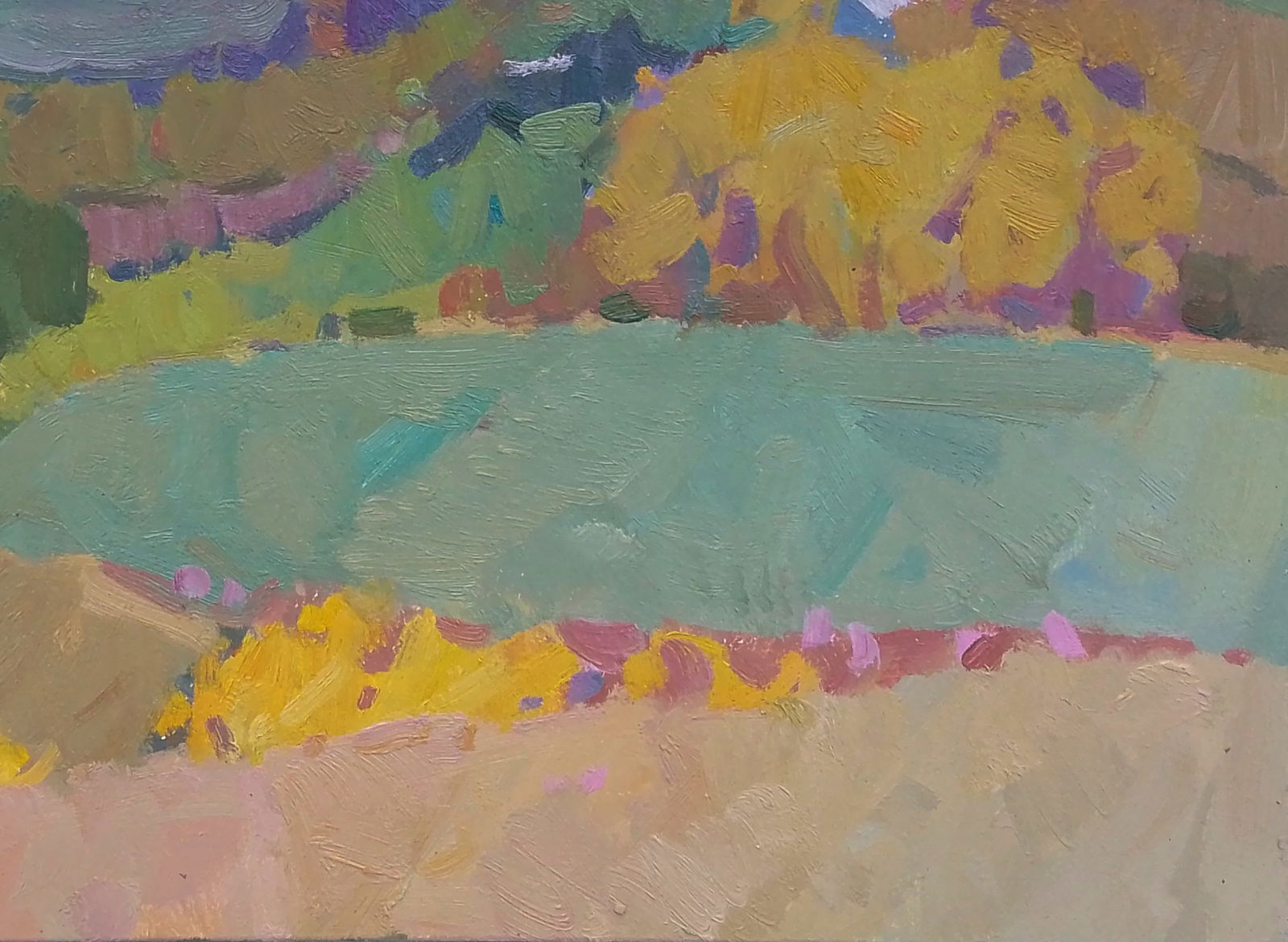 Oil painting In the mountain fields Igor Tuzhikov - 2