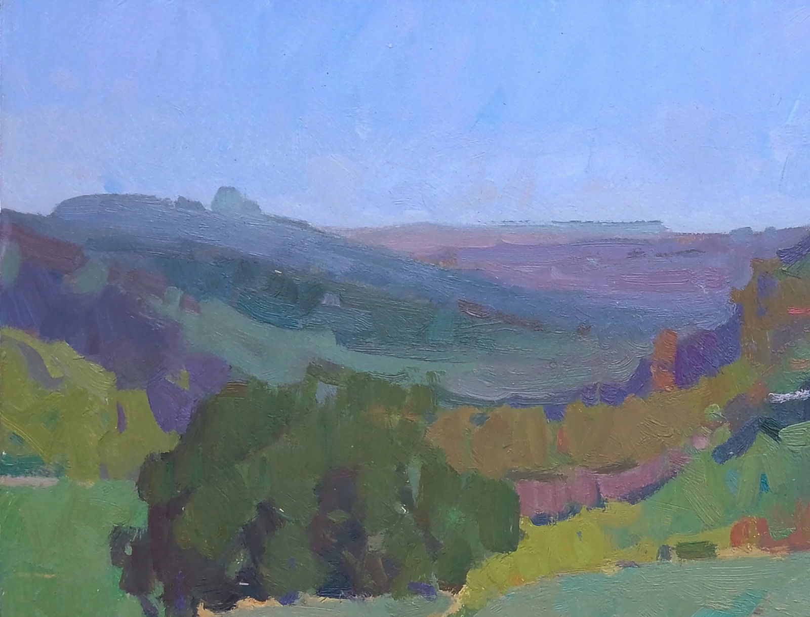 Oil painting In the mountain fields Igor Tuzhikov - 4