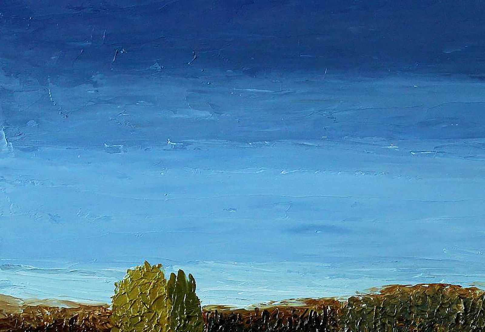 Oil painting Flower field Andriy Klishyn - 2