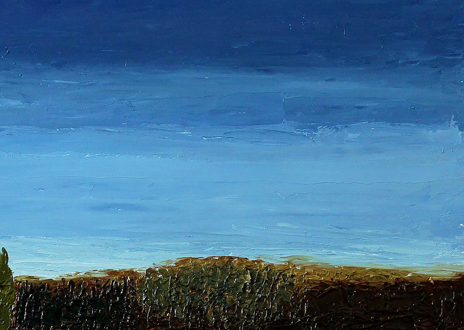 Oil painting Flower field Andriy Klishyn - 3