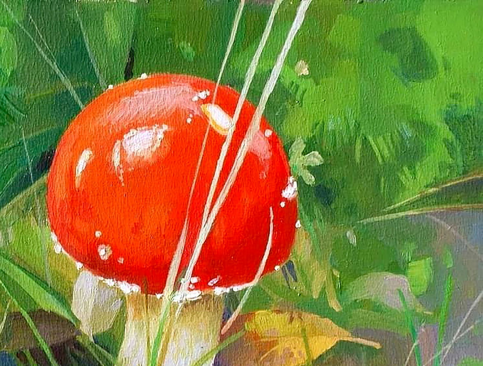 Oil painting Mountain mushroom Anastasia Yaroshevich - 3