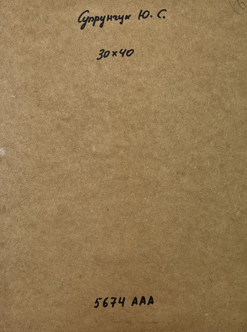 Oil painting City with a river Yuriy Suprunchuk - 9