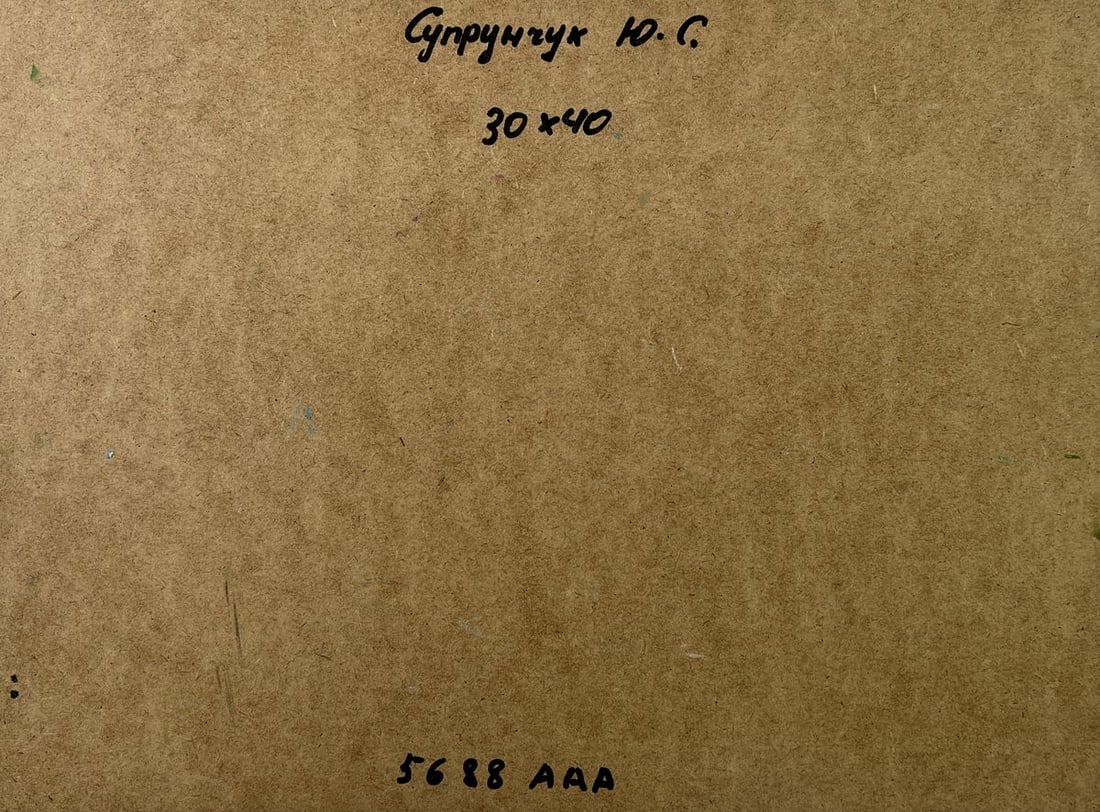 Oil painting Country house Yuriy Suprunchuk - 10