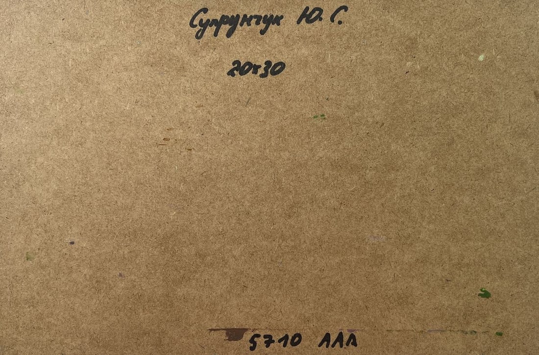 Oil painting House in the mountains Yuriy Suprunchuk - 10