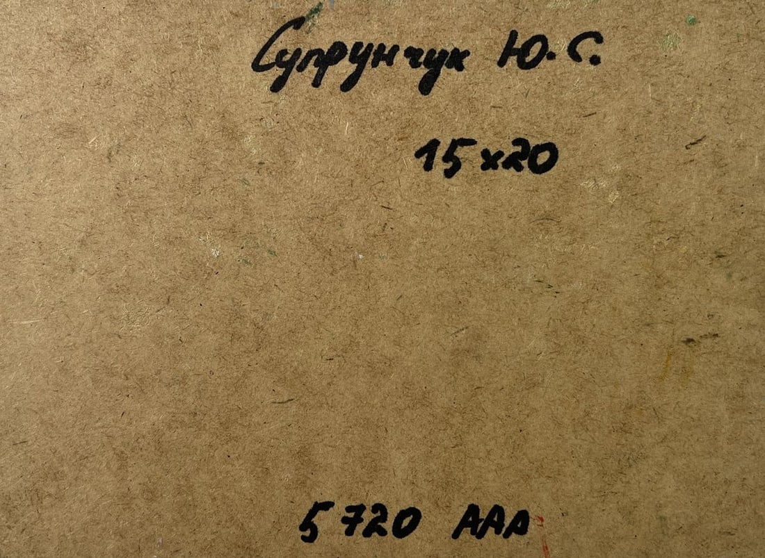 Oil painting City bridge Yuriy Suprunchuk - 8