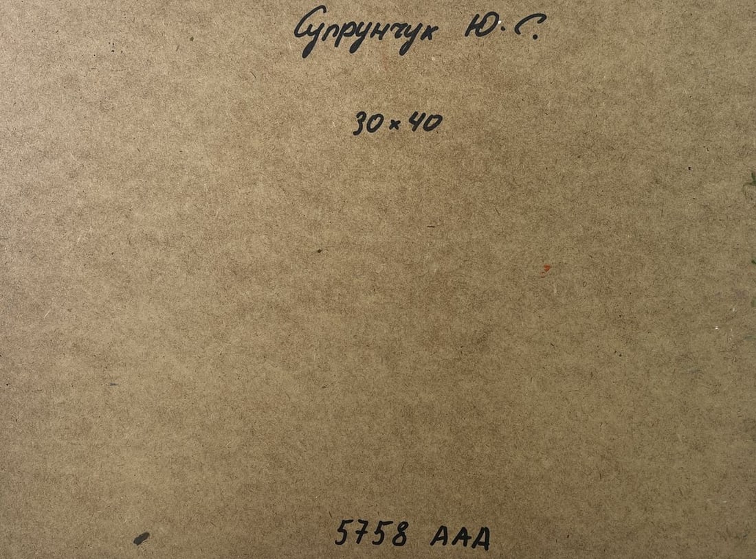 Oil painting Village with animals Yuriy Suprunchuk - 10