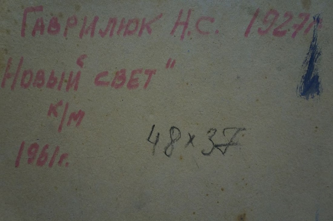 Oil painting New World Gavrilyuk Nikolay Stepanovich - 8