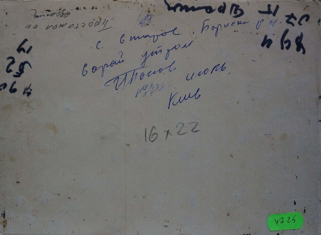 Oil painting House on the outskirts Popov Igor Alexandrovich - 7