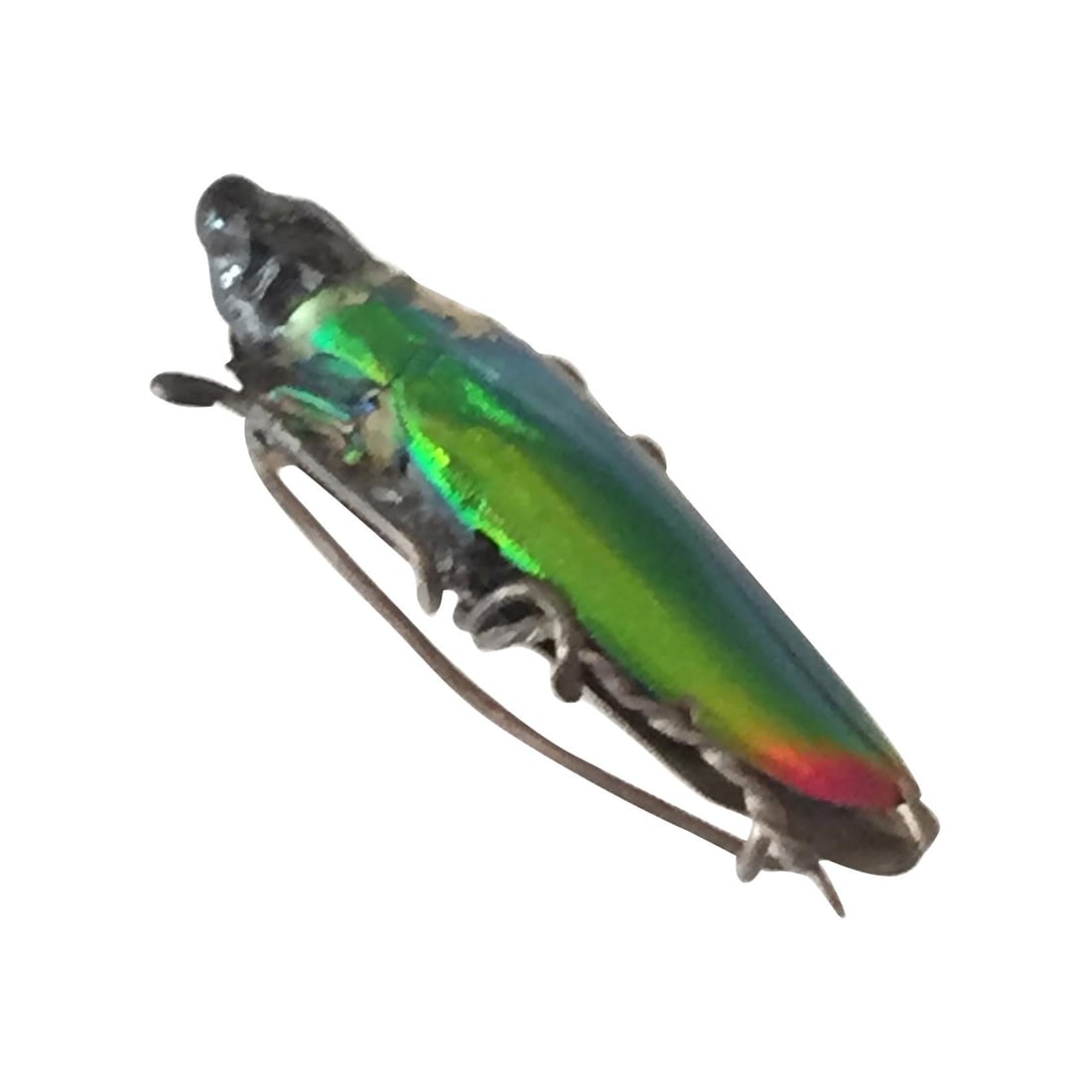 Egyptian Revival Beetle Brooch, circa 1900 - 2