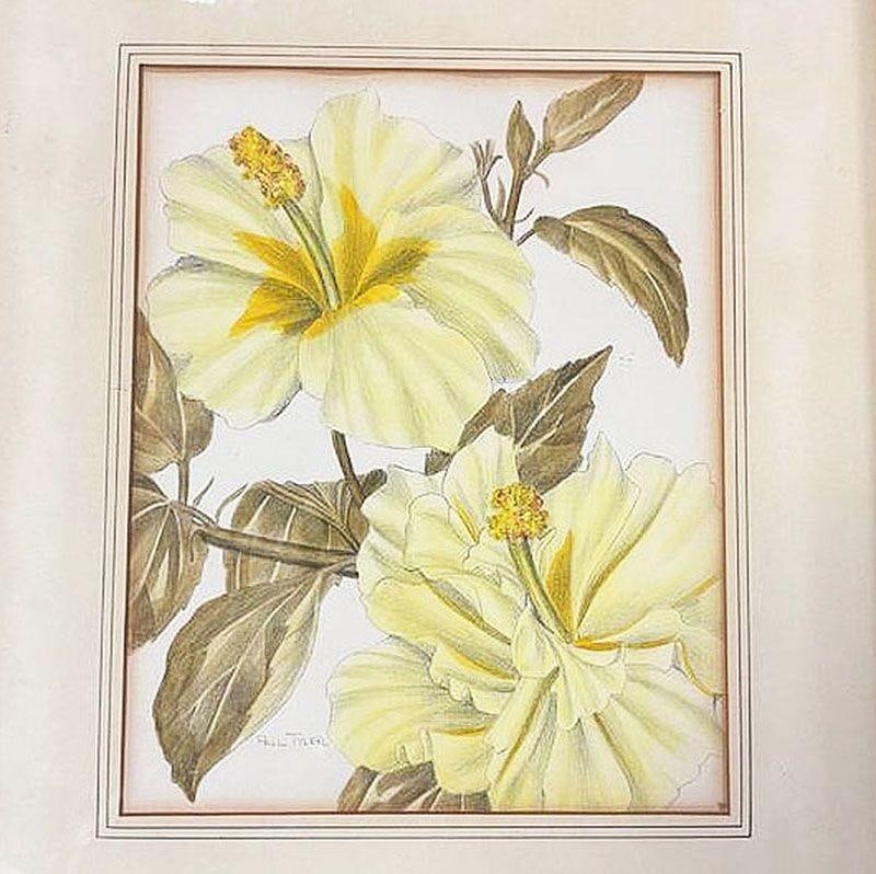 Mid-Century Hawaiian Framed Hibiscus Water Color Floral on Paper by Paul Tyler - 3