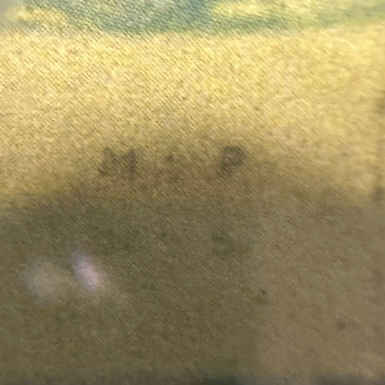 Maxfield Parrish “Garden of Allah” Crane Lithograph 1918 - 10