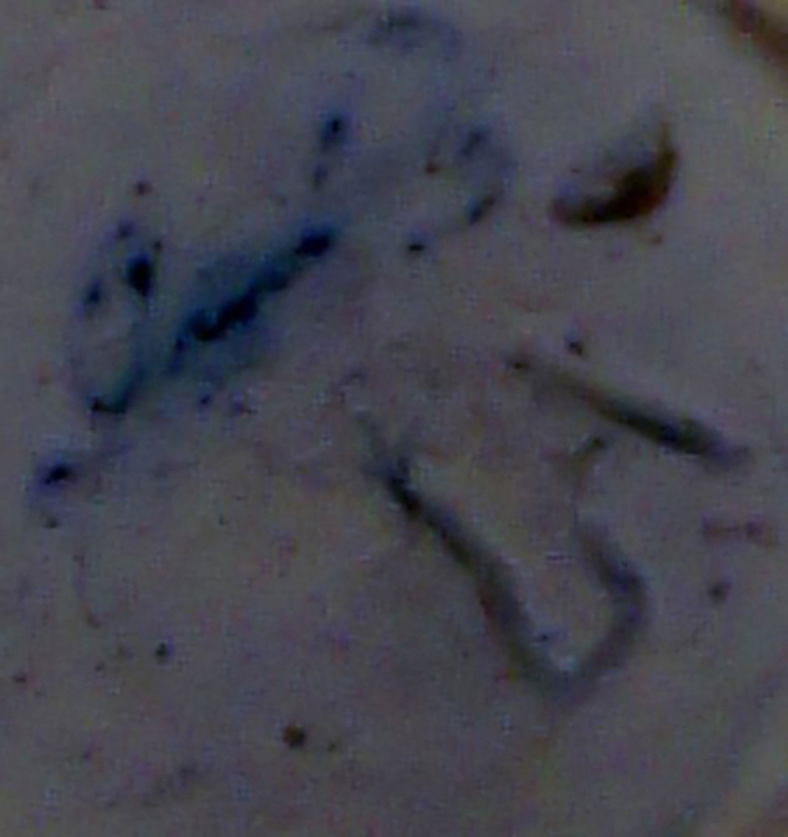 French ceramic vase, Cauterets. - 5