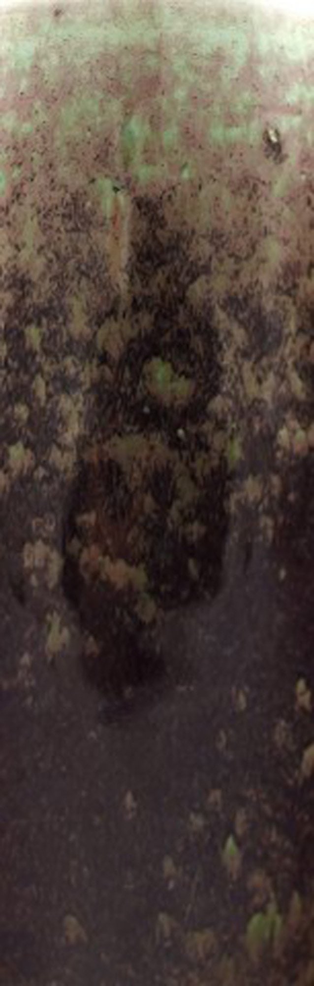 Large Berndt Friberg Studio pottery vase. Unique, handmade. - 4