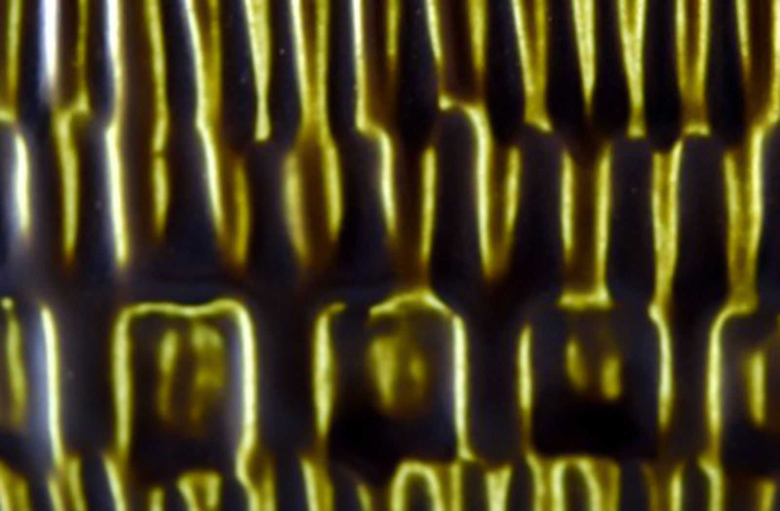 Upsala Ekeby Arena ceramic vase. - 4