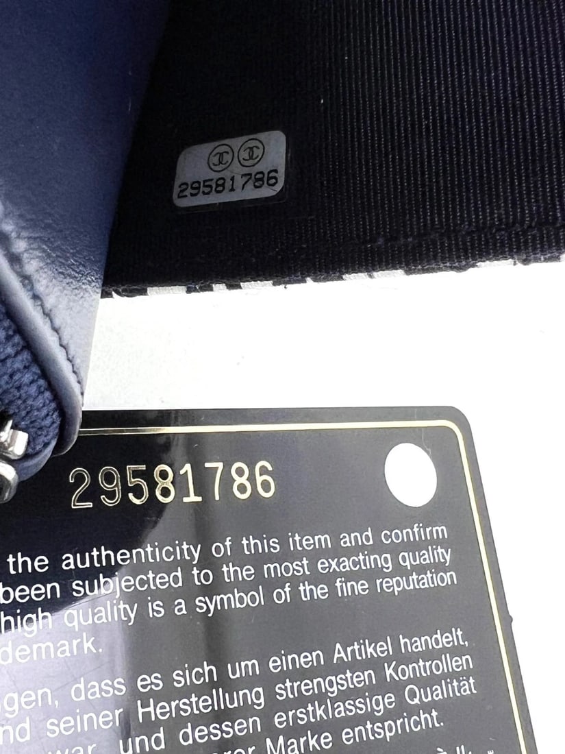 Chanel Reissue 2.55 Quilt Print Canvas Limited Edition Wallet WOC Bag - 12