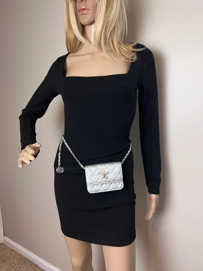 Chanel Metallic Goatskin Quilted Star Flap Waist Belt Shoulder Bag - 14