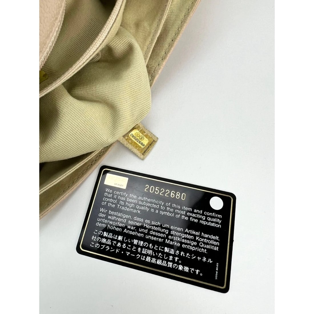 Chanel Grained leather Medium Natural Beauty Beige Flap Bag - 12