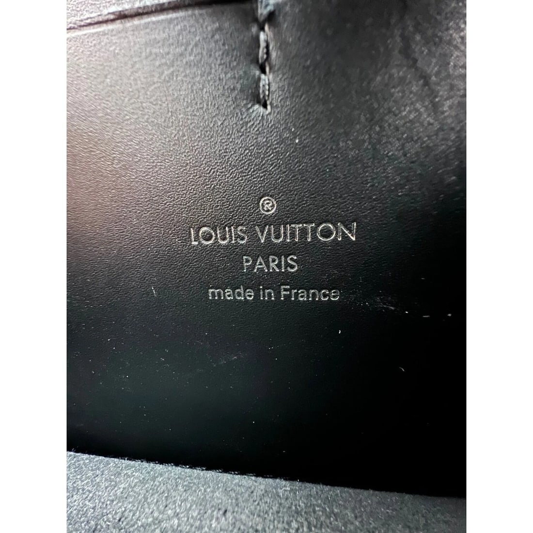 LOUIS VUITTON Reverse Giant Monogram Dauphine Bumbag Clutch - 5
