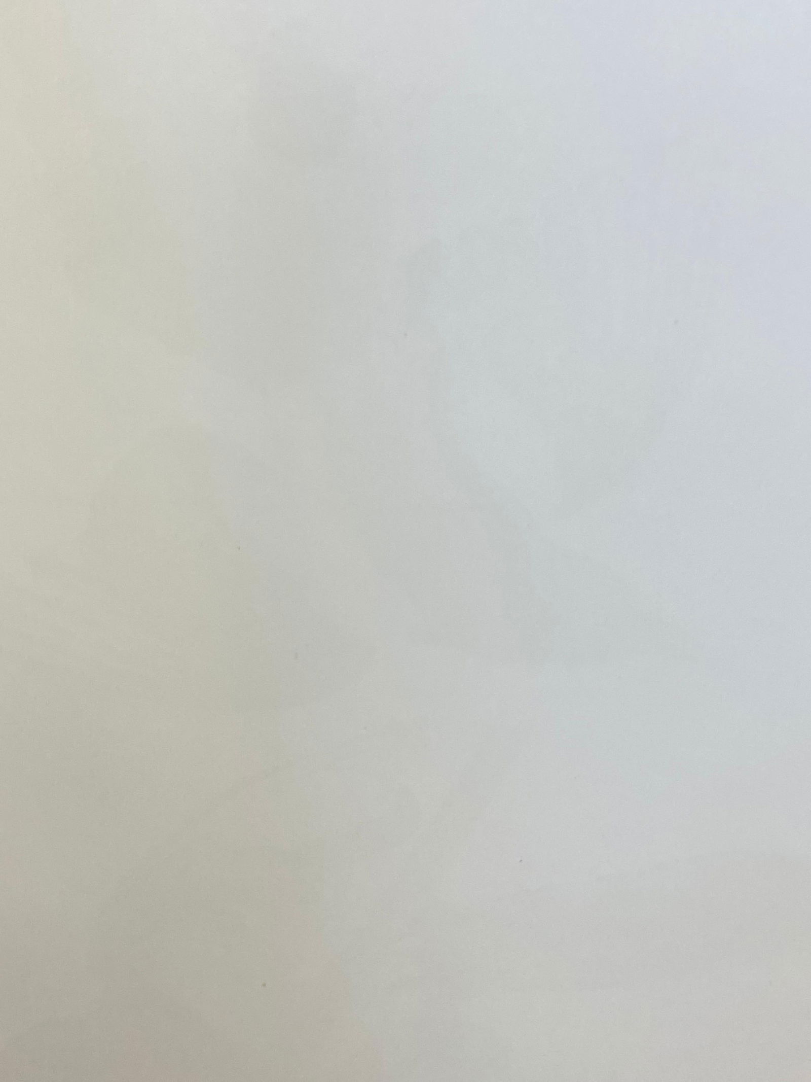 Large Classical Bird Color Print After John James Audubon, American Magpie, 20th Century - 13