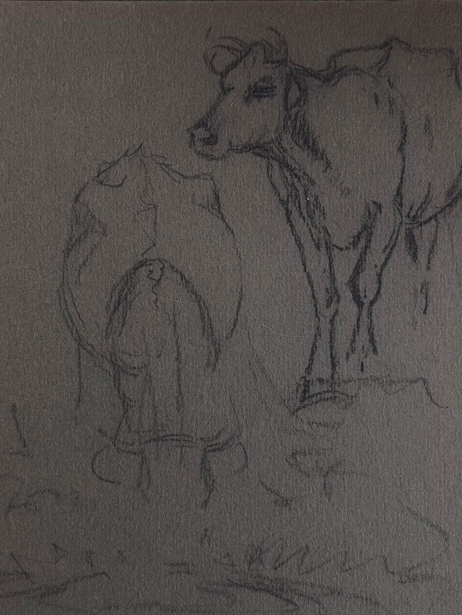 John Rabone Harvey; British Chalk Pencil Sketch of Two Cows At A Watering Hole, 1966: Title: John Rabone Harvey; British Chalk Pencil Sketch of Two Cows At A Watering Hole, 1966 Description: John Rabone Harvey ( 1966 - 1922) graphic and chalk deep green artist paper , unframed artist