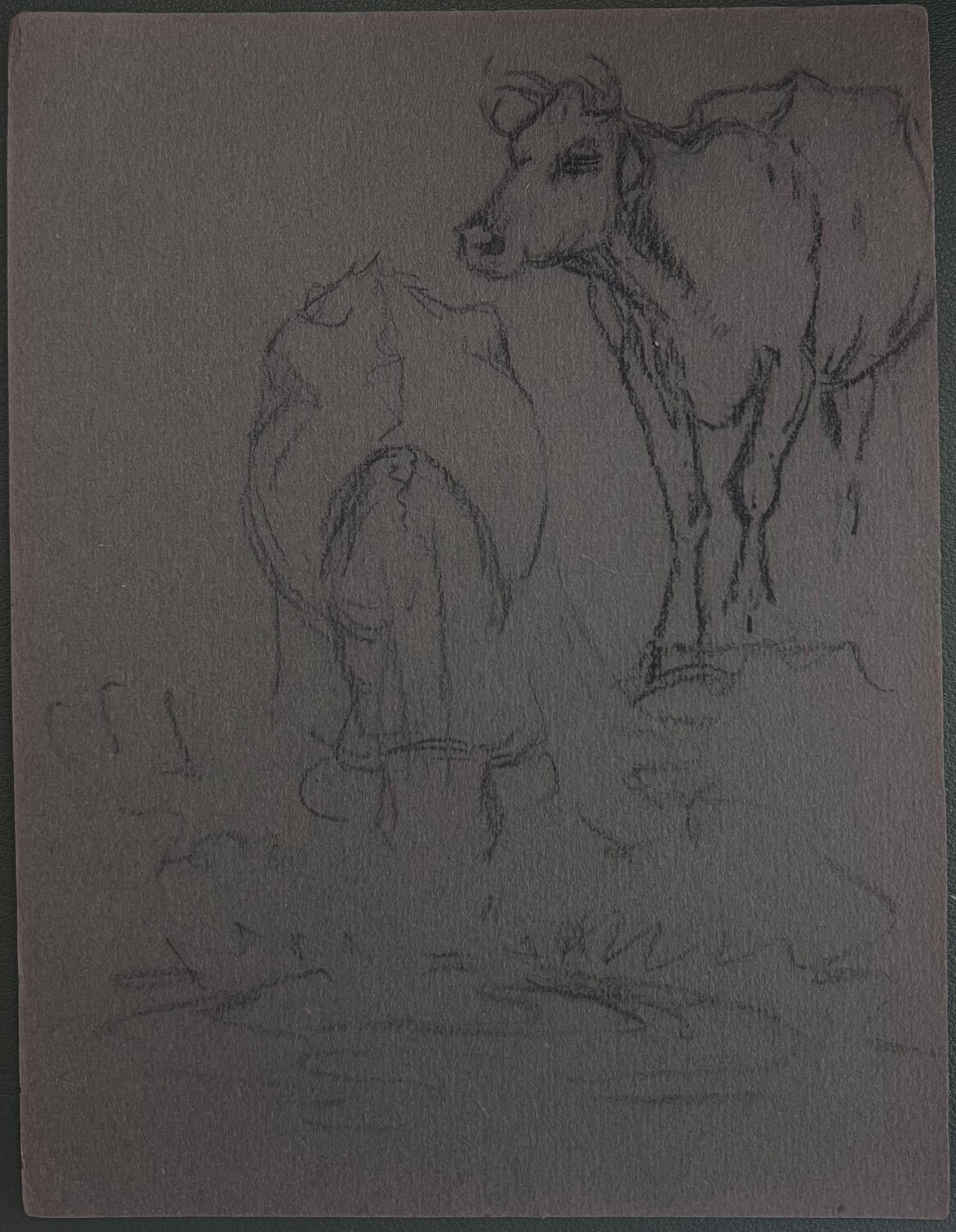 John Rabone Harvey; British Chalk Pencil Sketch of Two Cows At A Watering Hole, 1966 - 3