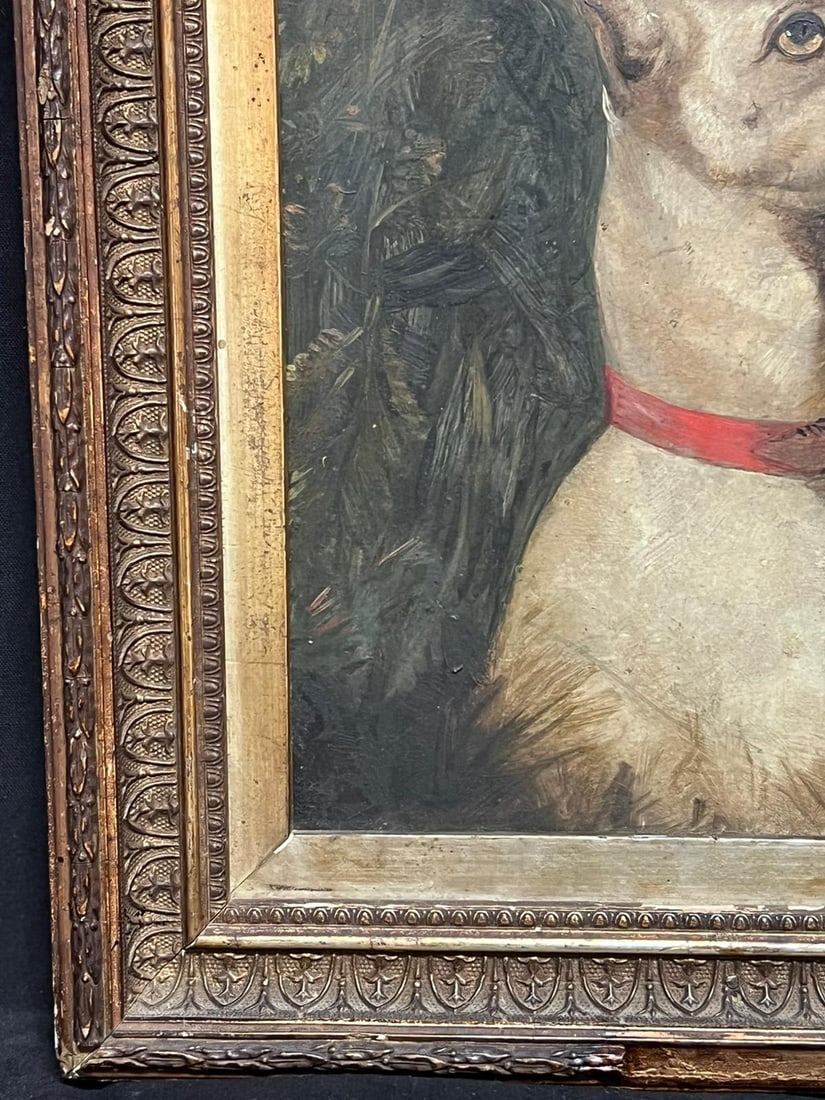 English Victorian Oil ; Victorian English Dog Painting White Terrier Looking Alert with Red Collar - 6